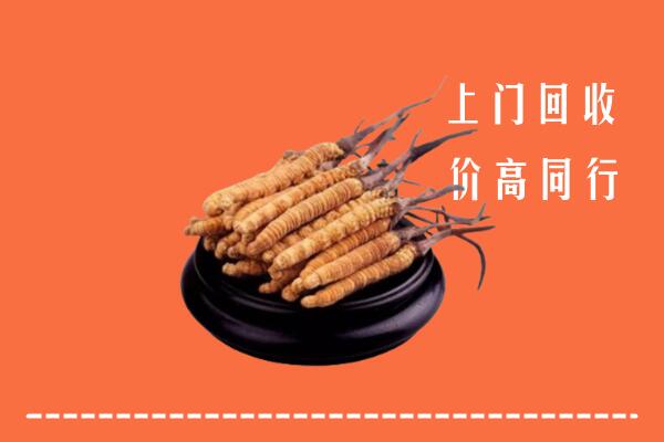 高价求购：宜宾市筠连回收散虫草