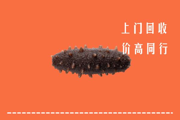 高价求购：宜宾市筠连回收海参