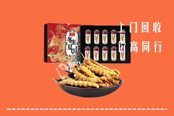 宜宾市筠连回收虫草